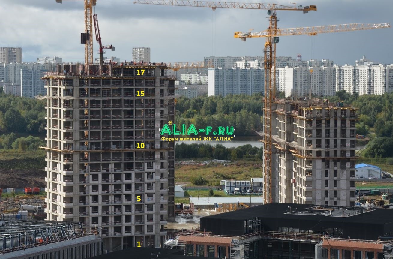 АЛИА 10 В фото от Feriki от 18.09.2020.JPG