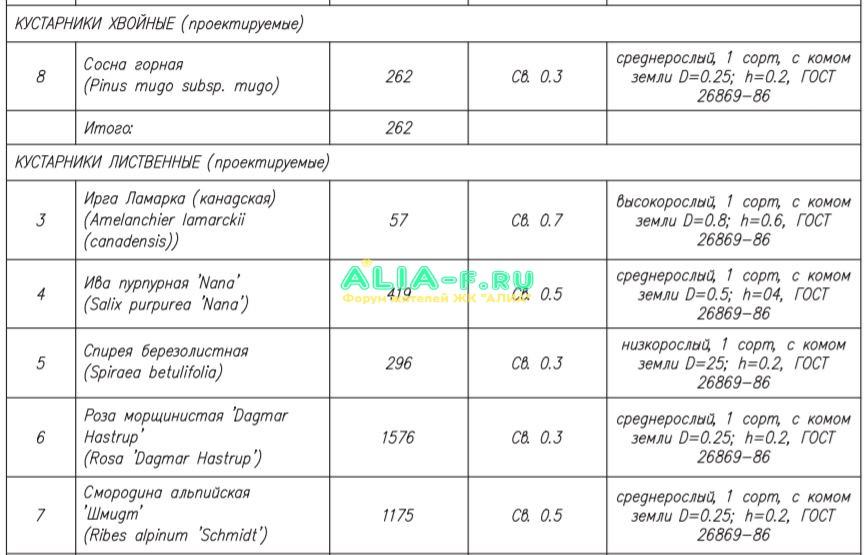 АЛИА бульвар кустарники.JPG