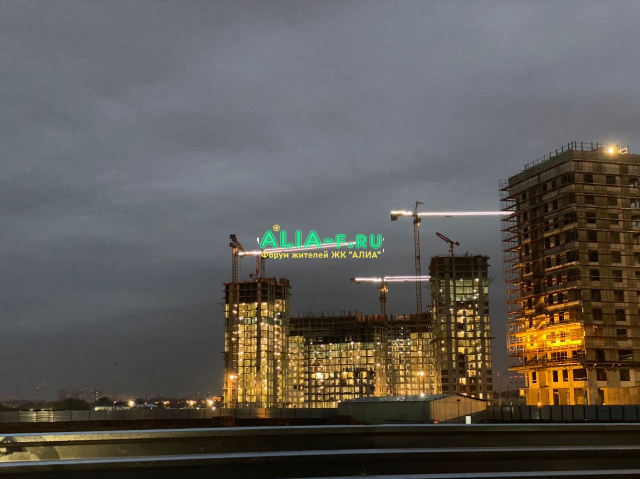 АЛИА фото от Надежда.jpg