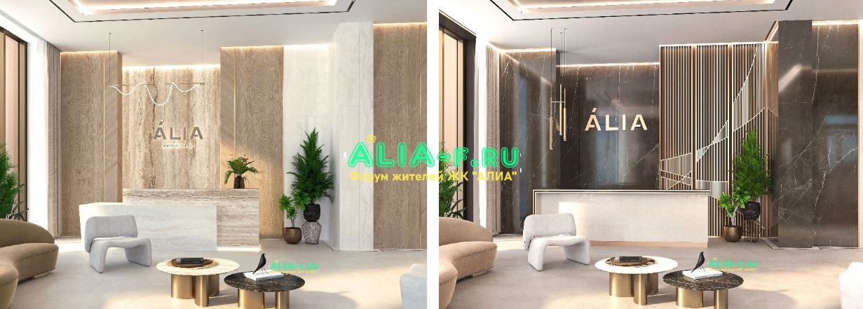 АЛИА 2.2 МОП варианты.JPG