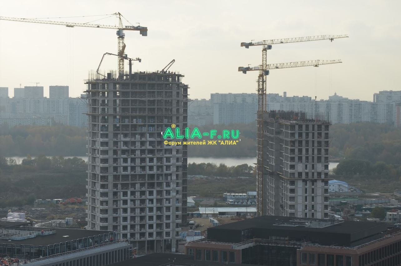 АЛИА 10 В фото от Feriki от 13.10.2020.JPG