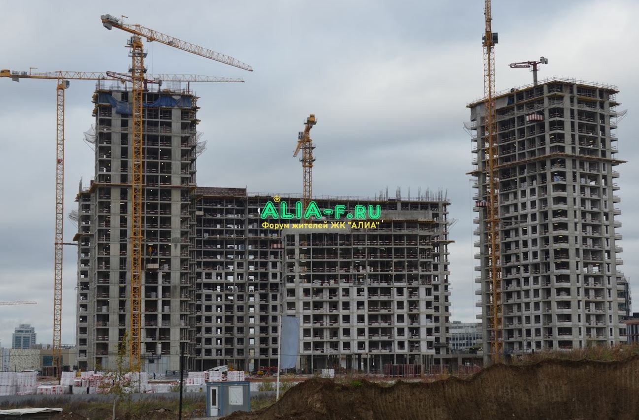 АЛИА 10 В 25.10.2020 фото от Feriki.JPG