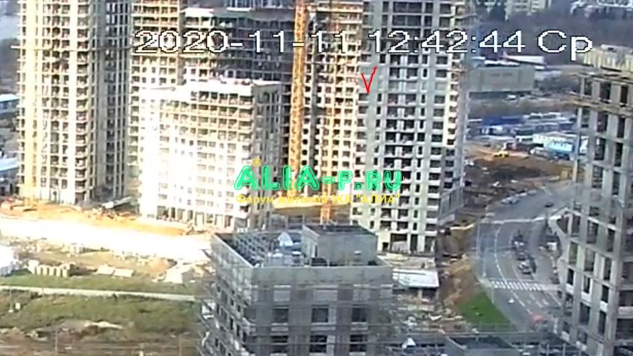 АЛИА 1.2 11.11.2020.JPG