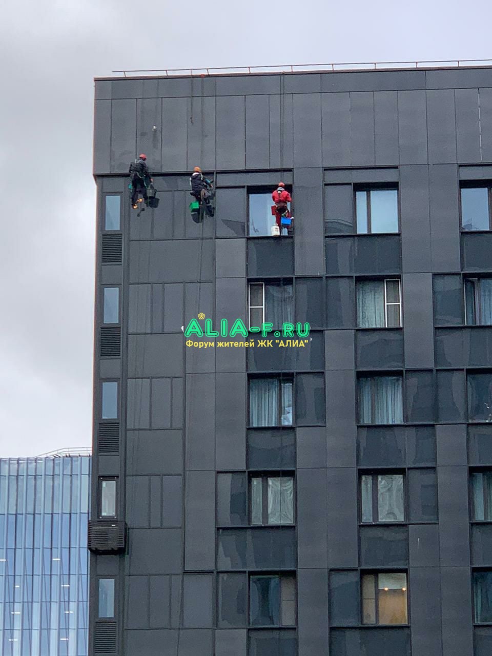 Тушино 2018 москитные сетки на фасаде фото из Т (1).jpg