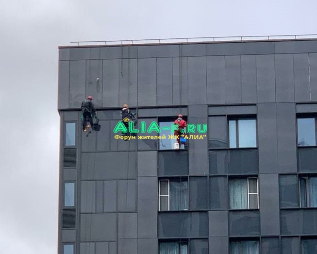 Тушино 2018 окна альпинисты.JPG