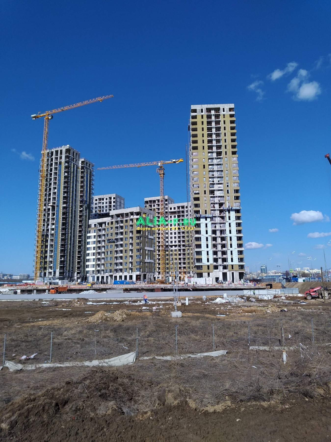 P_20210410_103344_vHDR_Auto.jpg