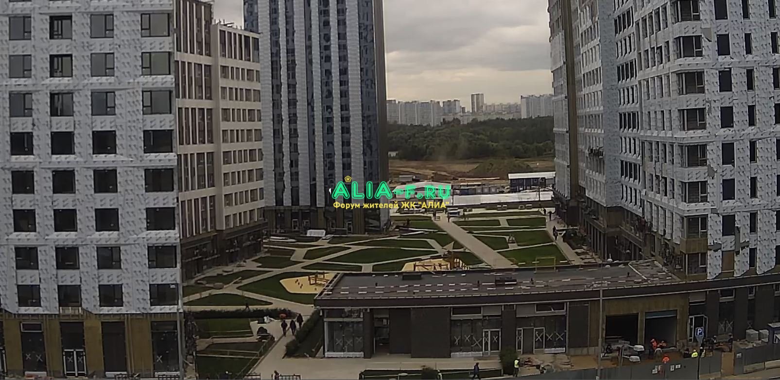 АЛИА 10 В озеленение двор.JPG