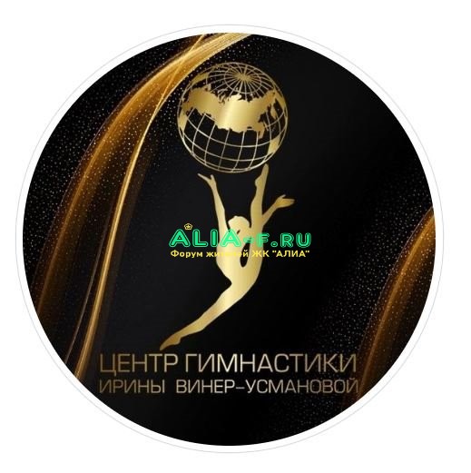 АЛИА спортивный комплекс гимнастика.JPG