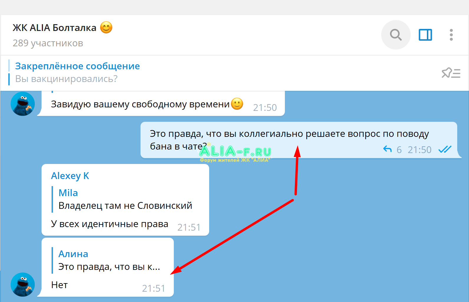 чат.png