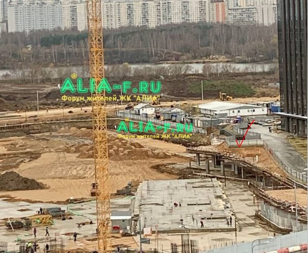 АЛИА 10 В контейнер.JPG