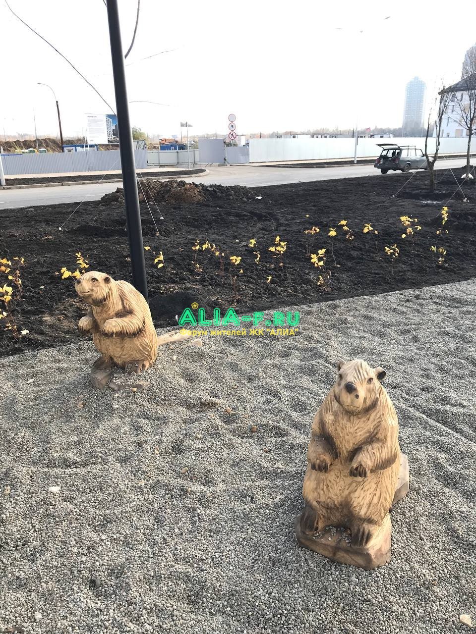 Тушино 2018 ЦБ бобры (1).jpg