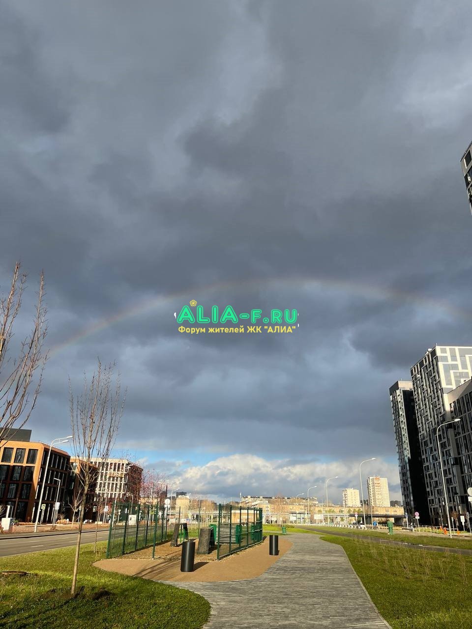 АЛИА ЦБ площадка для выгула собак 11.2021.jpg