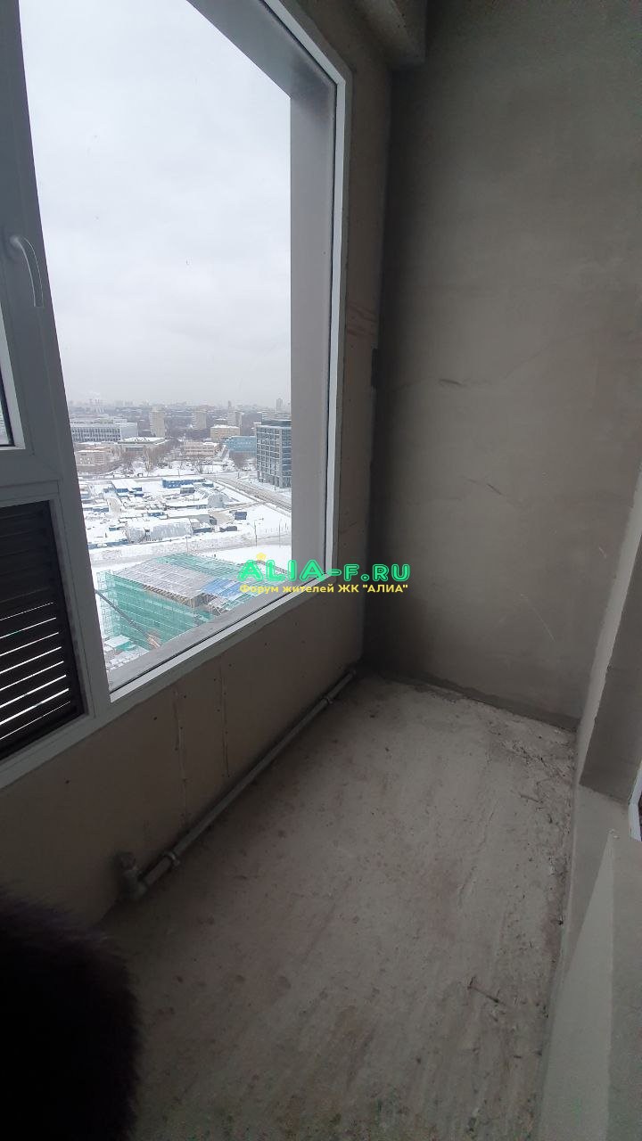 IMG_20220201_160304_461.jpg