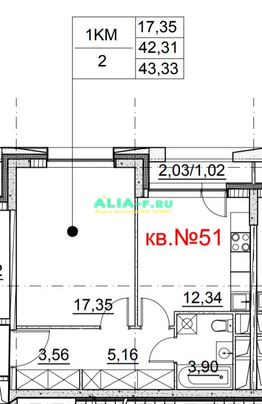 АЛИА 1.2 однушка №2.JPG