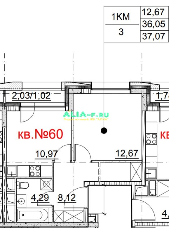 АЛИА 1.2 однушка №3.JPG