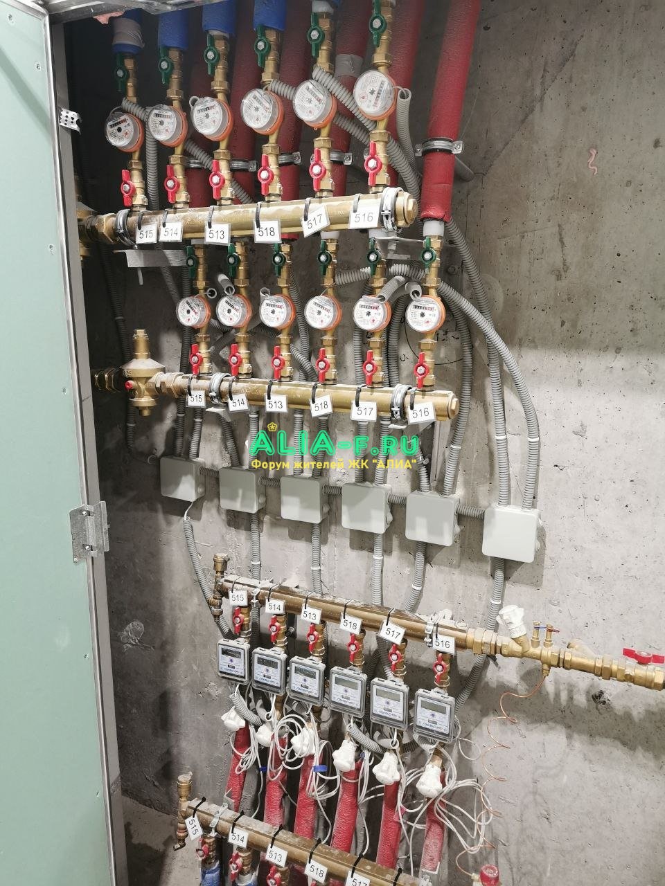 IMG_20220310_150357_264.jpg