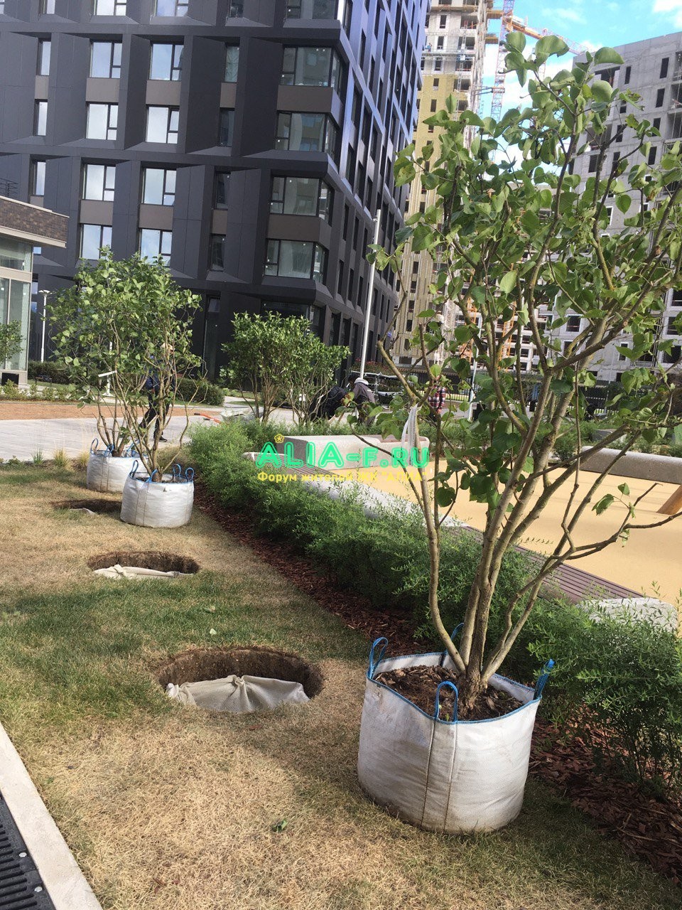 IMG_20220901_165742_914.jpg