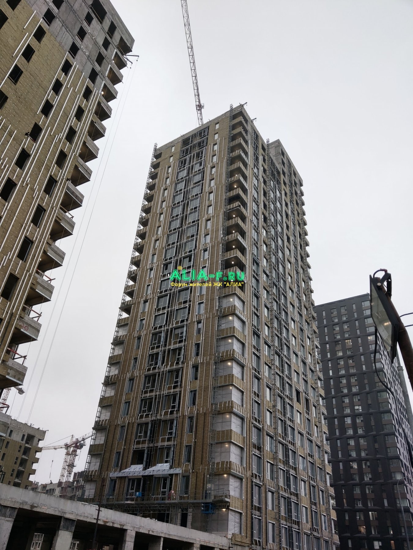 IMAG7545.jpg