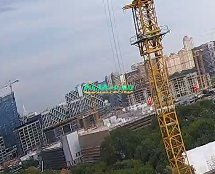 АЛИА 10 В 29.07.2020 камера от ЛСтрешнево.JPG