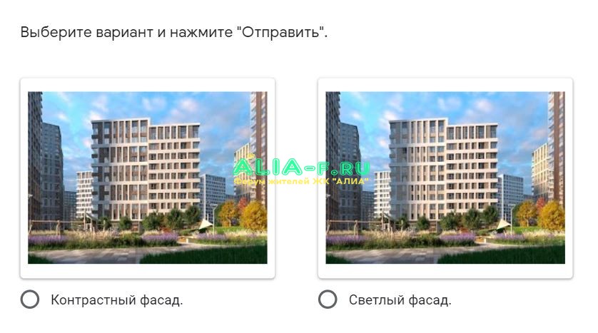 АЛИА 10 В 2.1 опрос по фасаду.JPG