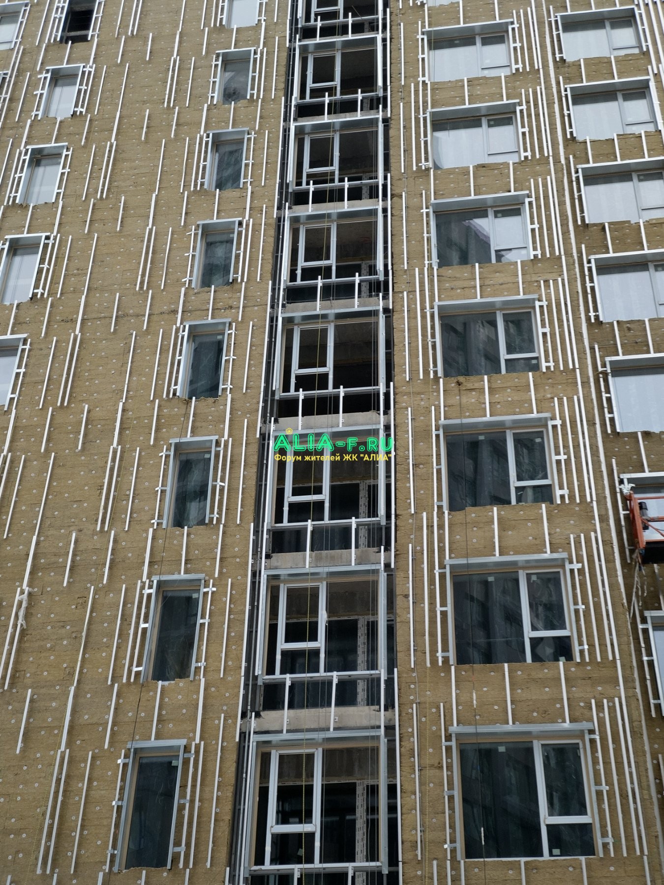 IMAG7973.jpg