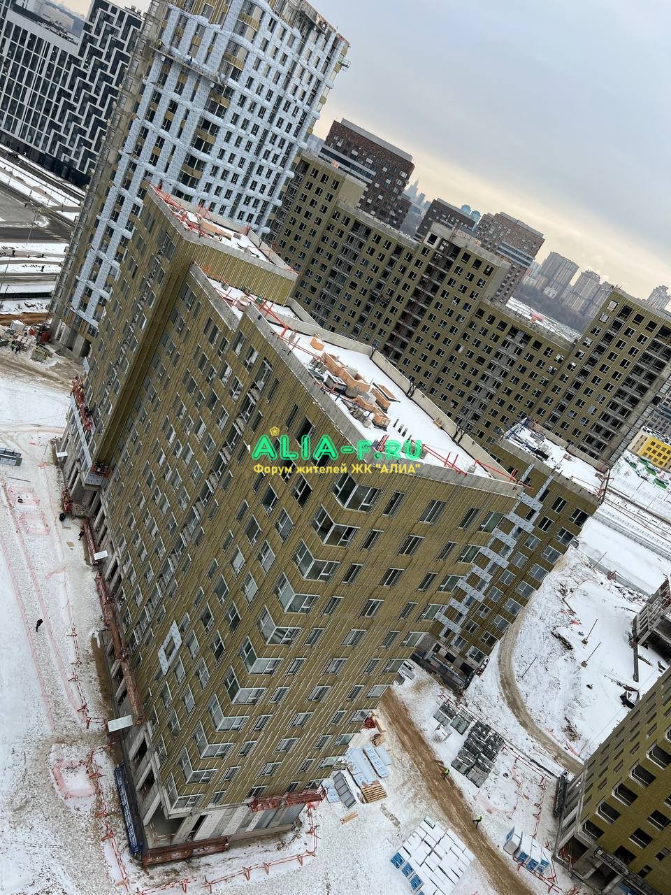 IMG_20230212_103158_660.jpg