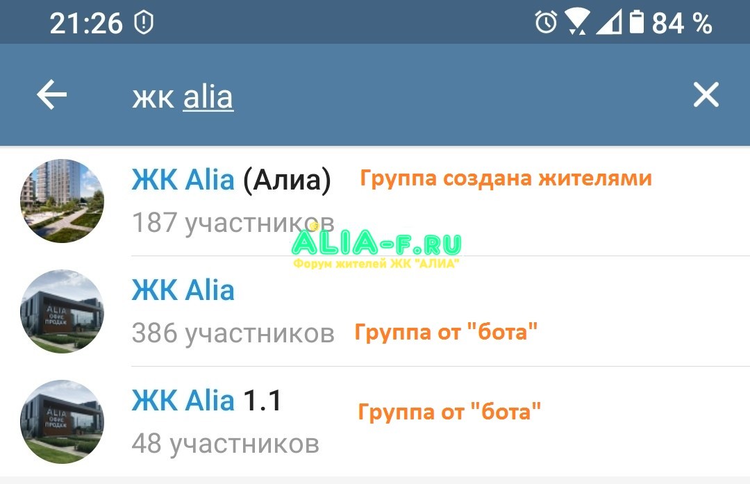 АЛИА скрин групп в Telegram от ilog.jpg